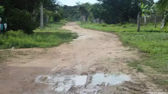 La expropiación de tierras, afectó a 308 ejidatarios de Chacchoben