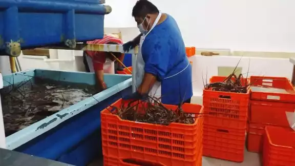 Esta acción supone una pérdida del 25% de sus ingresos. Foto: Karina Carrión. Esta acción supone una pérdida del 25% de sus ingresos. Foto: Karina Carrión.