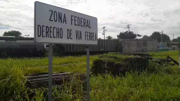 Foto: David Vázquez