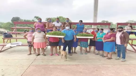 Programas como Sembrando Vida y Construyendo el Futuro han compensado el problema, señalan Programas como Sembrando Vida y Construyendo el Futuro han compensado el problema, señalan