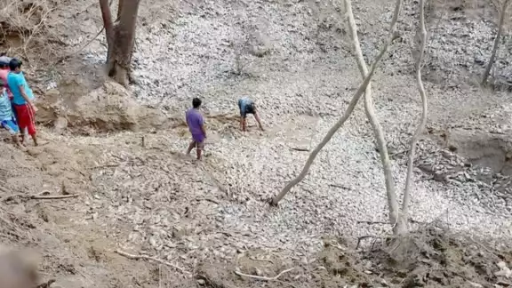 Hace dos años se secó una laguna en Hopelchén, Campeche