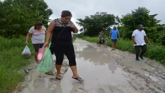 La brechas que conducen a los ranchos de las comunidades Caobas y Nicolás Bravo, están llenas de charcos y se ha deslavado su capa de terracería. Foto: Eric Castillo. La brechas que conducen a los ranchos de las comunidades Caobas y Nicolás Bravo, están llenas de charcos y se ha deslavado su capa de terracería. Foto: Eric Castillo.