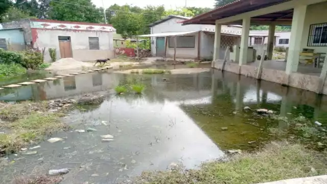 Foto: Jorge Amado Caamal Ek