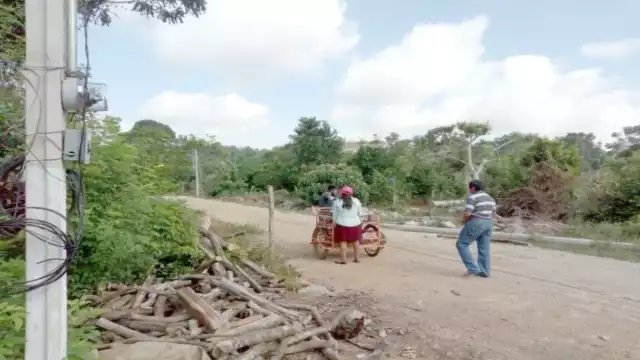 Foto: José Valencia