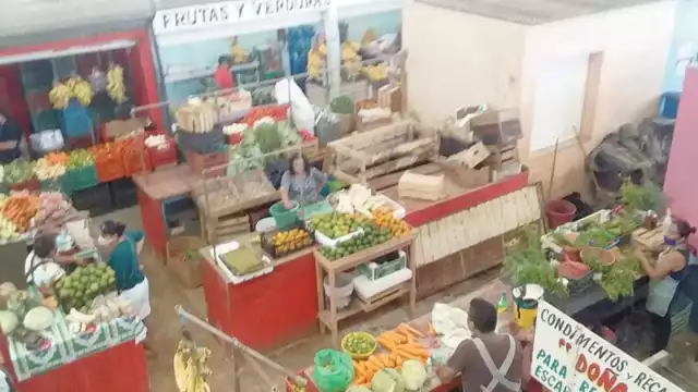 Foto: Joaquín Guevara