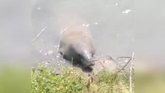 Foto: Julio Gutiérrez