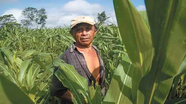 Fotos: Cuauhtémoc Moreno