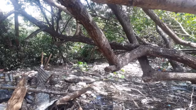 Señalan que los vecinos deberán comprometerse a tener limpia la zona. Fotos: Irene Barradas.