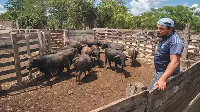 Fotos: Cuauhtémoc Moreno