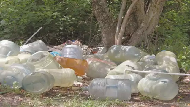 Foto: Irene Barradas