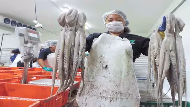 El precio del marisco se incrementó a 100 pesos esta semana.