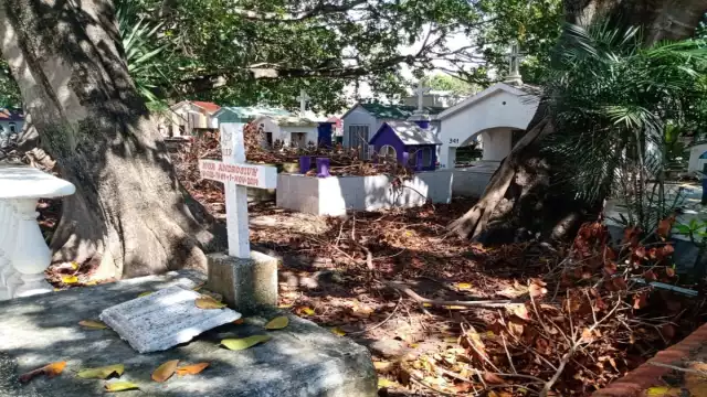 Algunas tumbas se encuentran enmohecidas debido a los años de abandono. Foto: Por Esto!