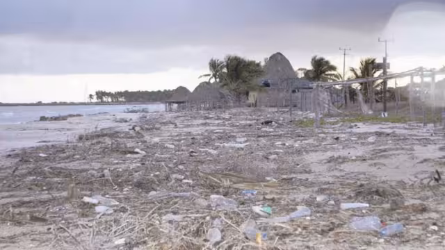 Botellas, bolsas, algas y sargazo cubren la arena. Foto: Jorge Jiménez.