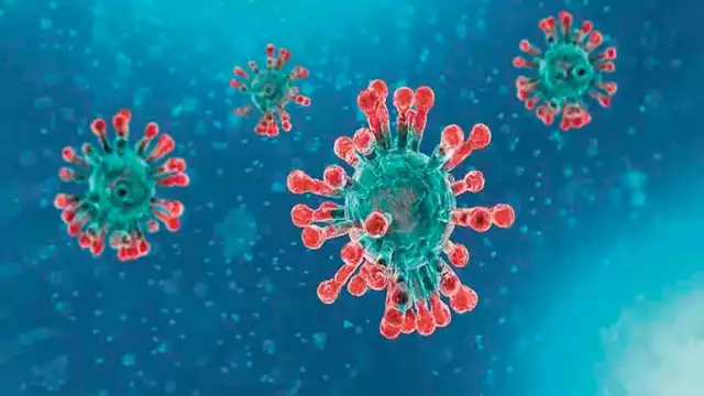 Más de 2 mil palabras se sumaron en la actualización.