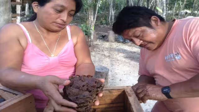 Foto: Miguel Améndola