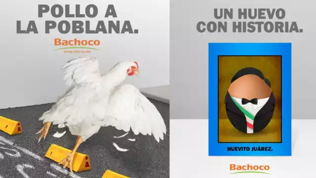 La empresa Bachoco causa revuelo de nuevo con su estrategia de publicidad
