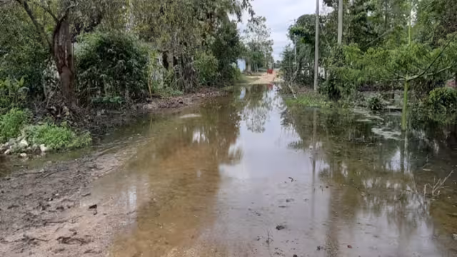 En una ocasión, la zona padeció 18 horas de lluvias constantes, lo
que la afectó seriamente. Foto: Luis Enrique Cauich.