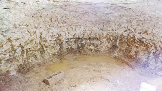 Foto: Néstor Cuevas