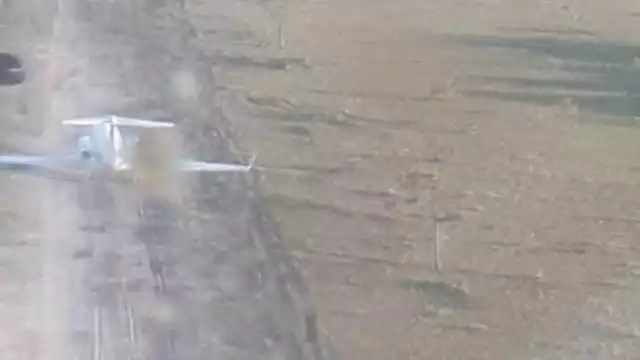 Autoridades de Belice activaron la Unidad Antinarcóticos para localizar la droga. Foto: Eric Castillo.