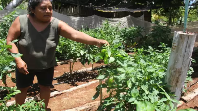 Foto: Justino Xiu Chan