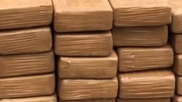 Lo asegurado fue trasladado a las instalaciones de la Fiscalía General de la República. Foto: Internet.