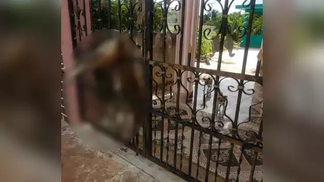 Foto: Yaniir Vazquezz Chel en Facebook