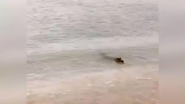 Foto: José Valencia