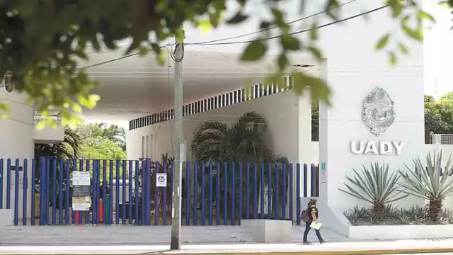 Foto: Enrique Osorno