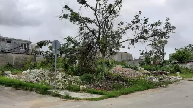En la colonia Nicte Há se pudieron ubicar diez tiraderos, principalmente de escombros.