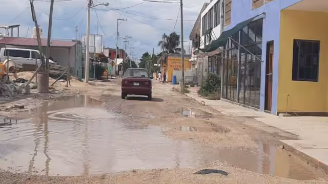 Foto: Luis Enrique Cauich