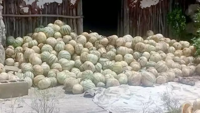 Foto: José Manrique Euán Martín