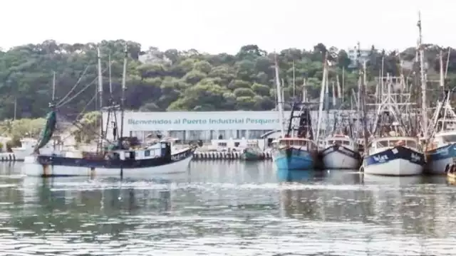 La oficina naval dijo entender a los empresarios, pero requieren adaptar sus formularios. Foto: Alan Gómez.