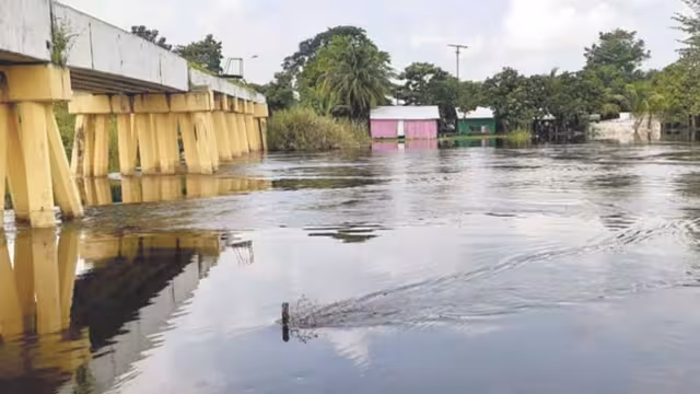 Foto: Emmanuel Pérez