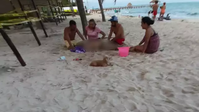 Foto: Iván Chuc Montalvo