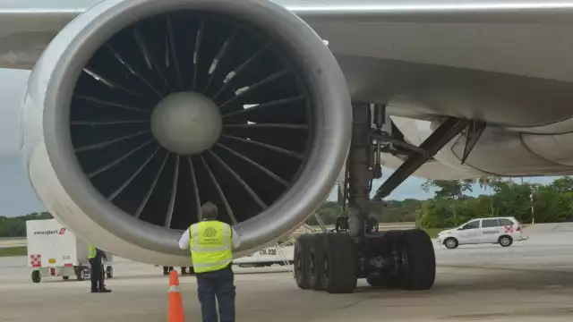 El proyecto fue ingresado a la Secretaría del Medio Ambiente y Recursos Naturales antes de la declaración de pandemia.