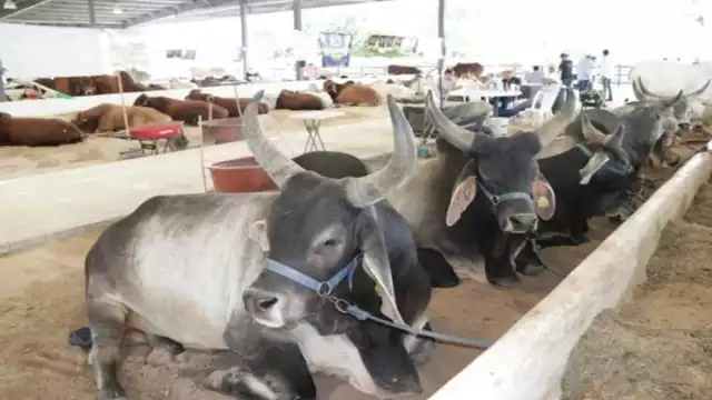 Foto: Secretaría de Desarrollo Rural en Facebook