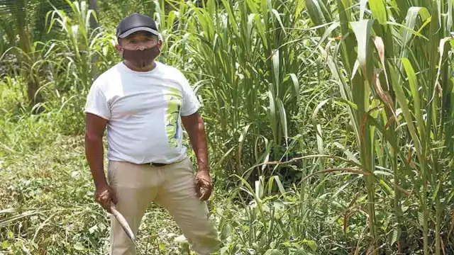 Fotos: Enrique Osorno