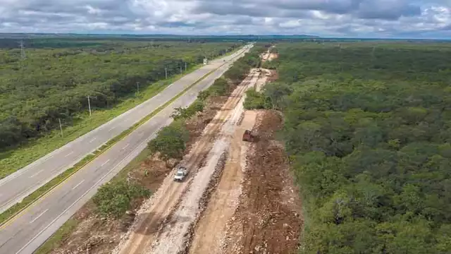 Según académicos el proyecto tiene faltas graves desde la planeación, así como en el proceso mismo. Foto: Luis Pérez.