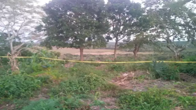 Elementos policíacos encontraron el cuerpo en la milpa.