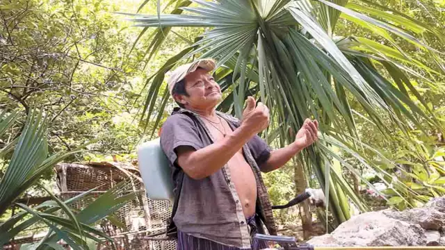 En el estado de Yucatán son más los hombres quienes presentan problemas de sordera