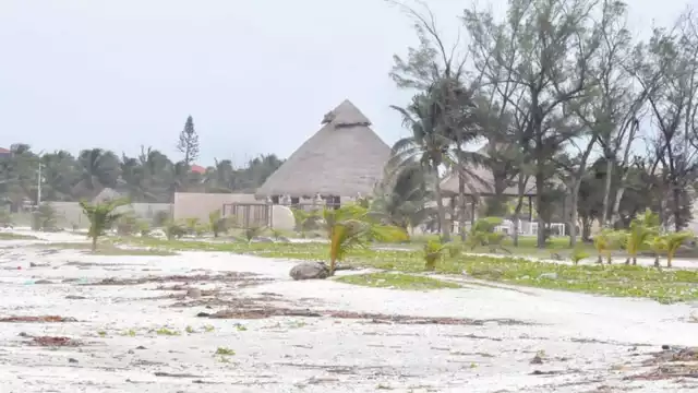Los lotes se ofrecen hasta por 350 mil pesos. Foto: Agustín Ferrer.