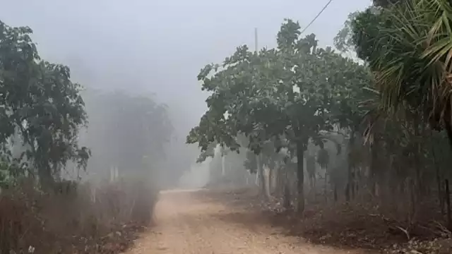 Piden evitar la automedicación en caso de presentar síntomas de alguna enfermedad respiratoria.