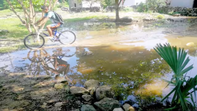 Las anegaciones se concentraron en la zona de la costa. Foto: Jorge Aké.