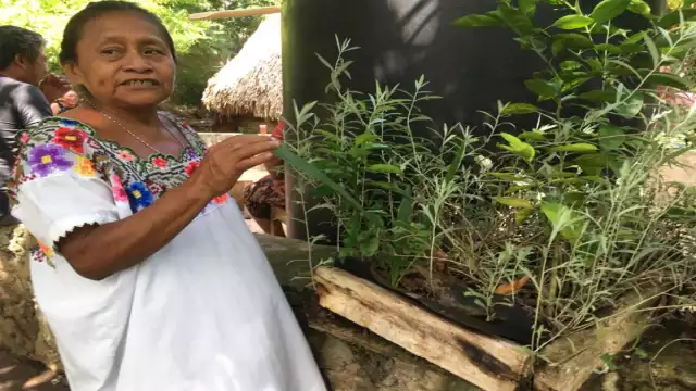 Foto: Justino Xiu Chan