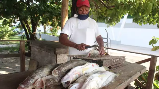 Los alineadores señalan que se mantienen con el poco trabajo que les dan los restaurantes.Foto: Emmanuel Sansores.