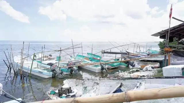 Foto: David Vázquez