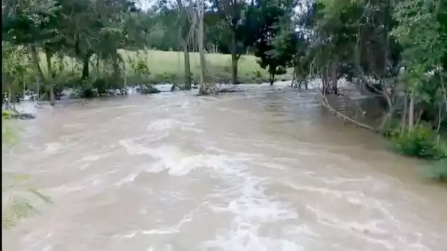 Las inundaciones afectan a habitantes y cultivos de maíz. Foto: Jorge Caamal.