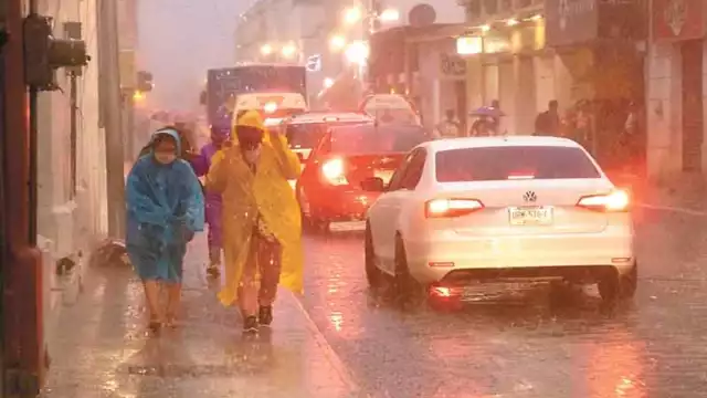 Foto: Martín Zetina