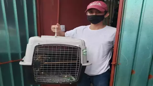 Foto: Alejandro Collí