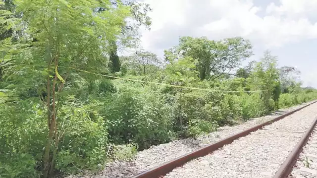 Foto: Néstor Cuevas